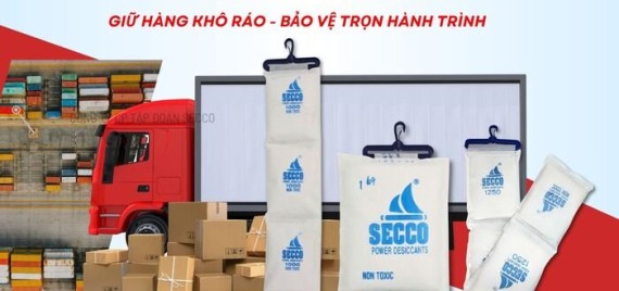 1 Container 20ft Cần Bao Nhiêu Dây Hút Ẩm? Hướng Dẫn Tính Số Lượng Chuẩn Cho Hàng Xuất Khẩu
