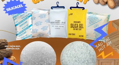 Nguyên nhân hàng gỗ - nội thất bị mốc khi vận chuyển?