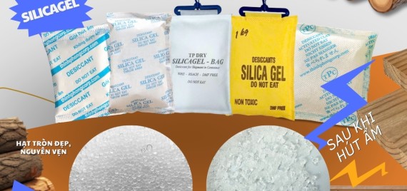 Nguyên nhân hàng gỗ - nội thất bị mốc khi vận chuyển?