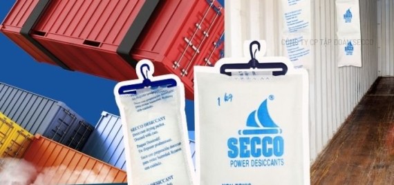 Hàng Bị Mốc Trong Container Do Nguyên Nhân Gì? Cách Phòng Tránh Hiệu Quả Cho Hàng Xuất Khẩu