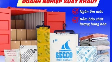 Gói Hút Ẩm Đạt REACH, RoHS, DMF Free Là Gì? Tiêu Chuẩn Vàng Cho Hàng Xuất Khẩu